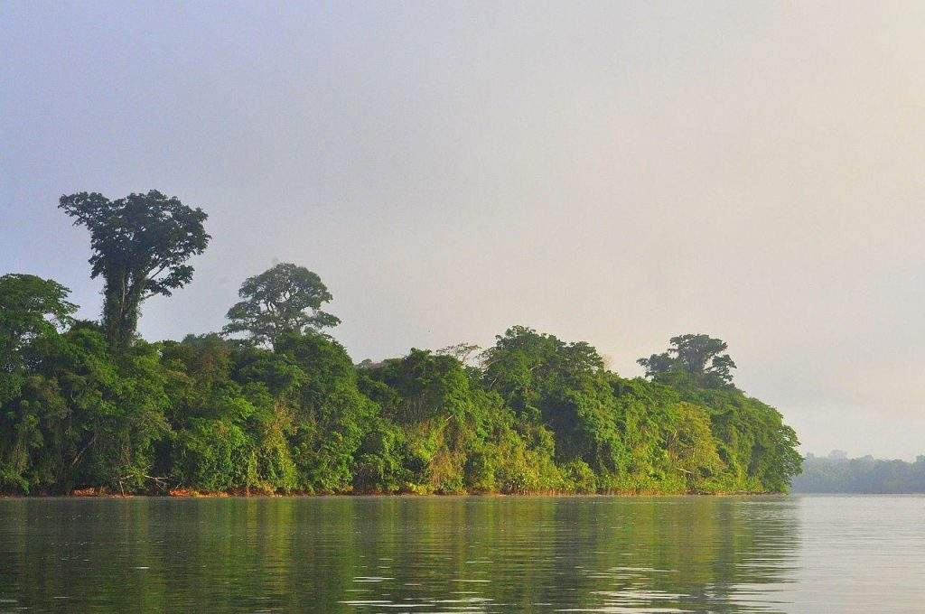 Parque Amazónico de Guayana Francesa