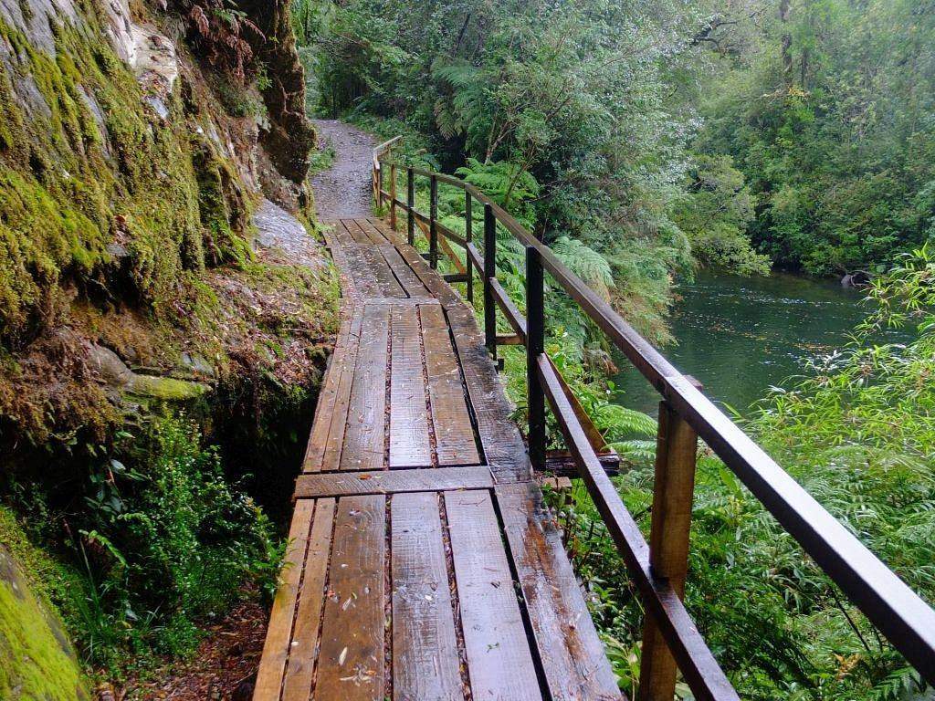 Parque Nacional Alerce Andino