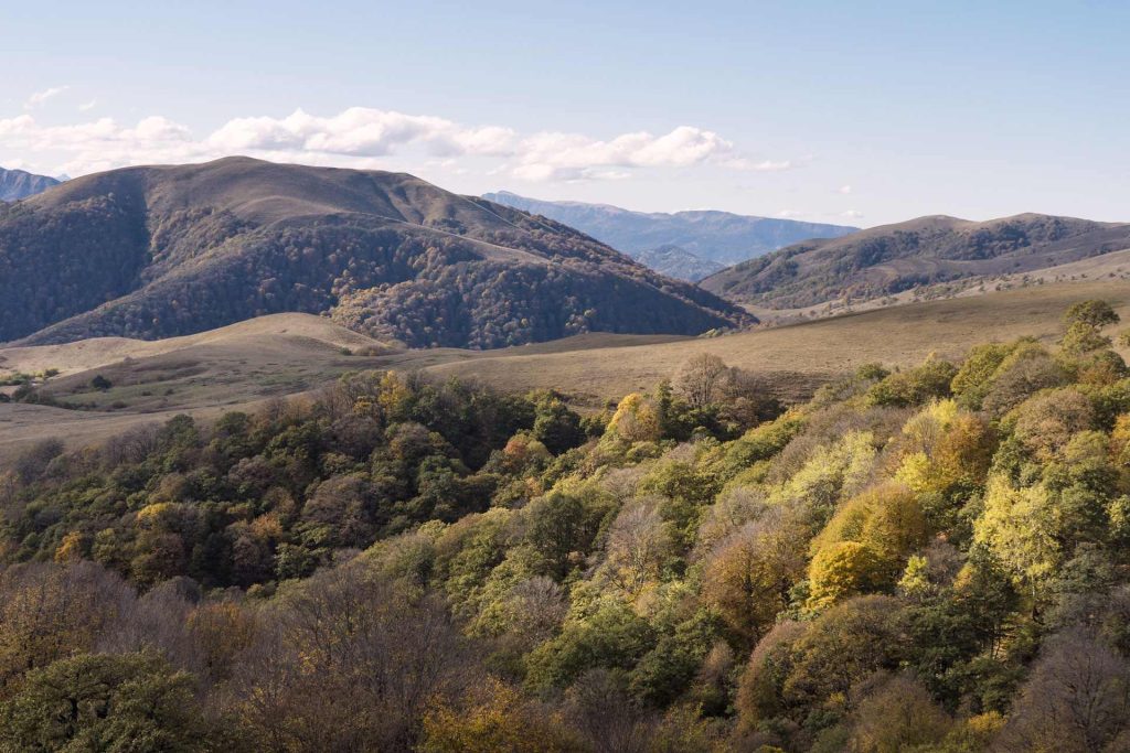 Parque Nacional Algeti, Georgia: guía de Visitas, actividades y cómo llegar