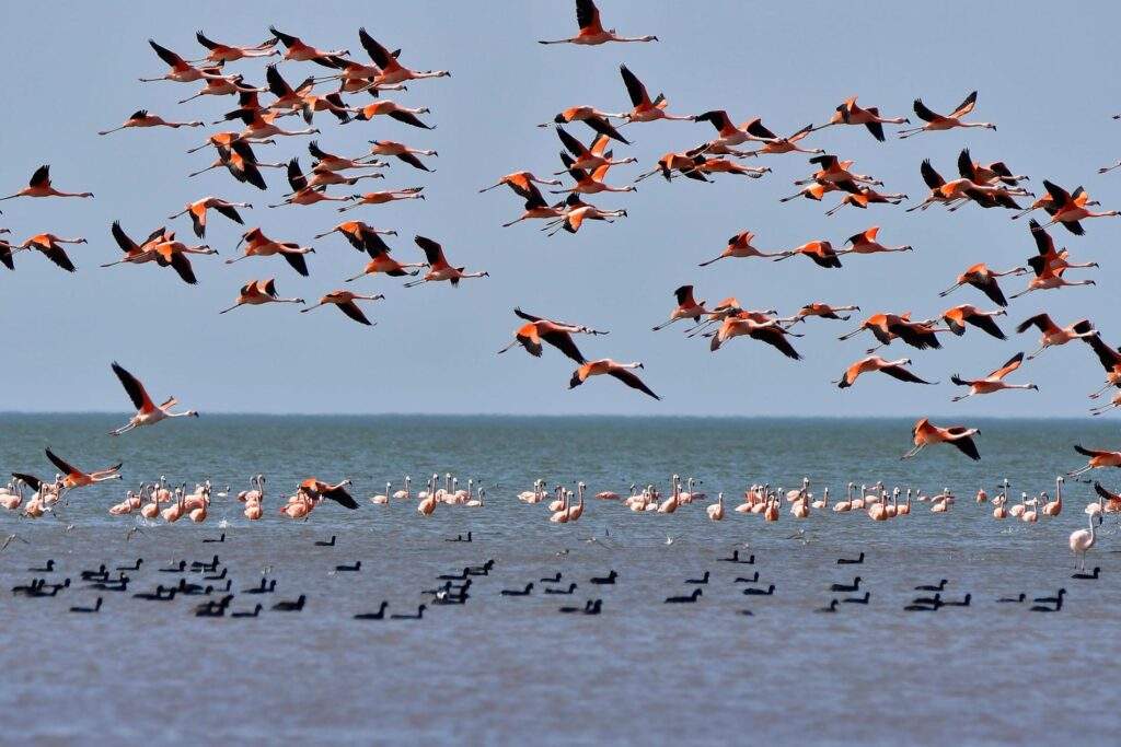 Parque Nacional Ansenuza