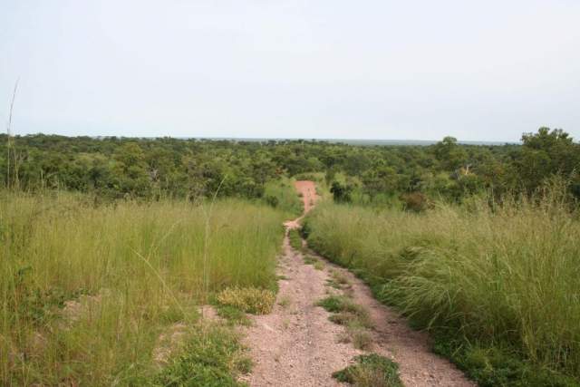 Parque Nacional Arli