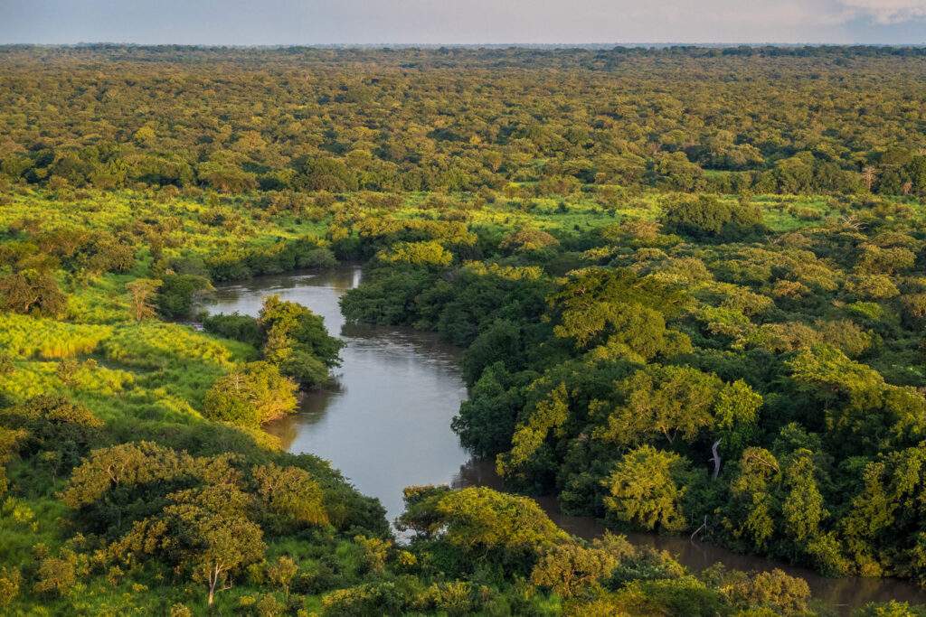 Parque Nacional Bicuar, en Angola, África