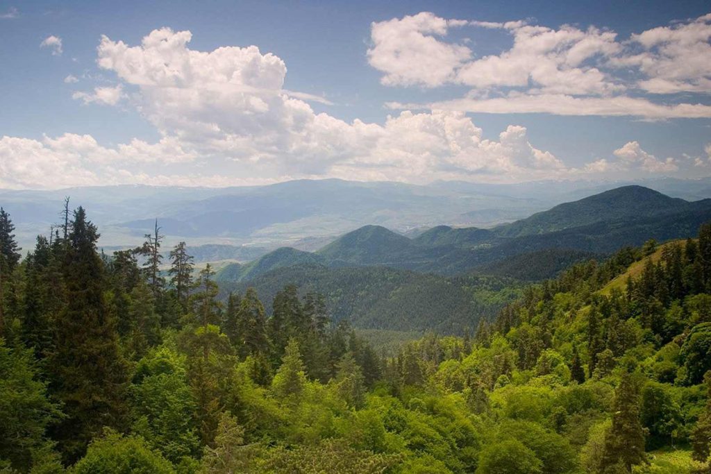 Parque nacional de Borjomi-Kharagauli, Georgia: guía de visitas