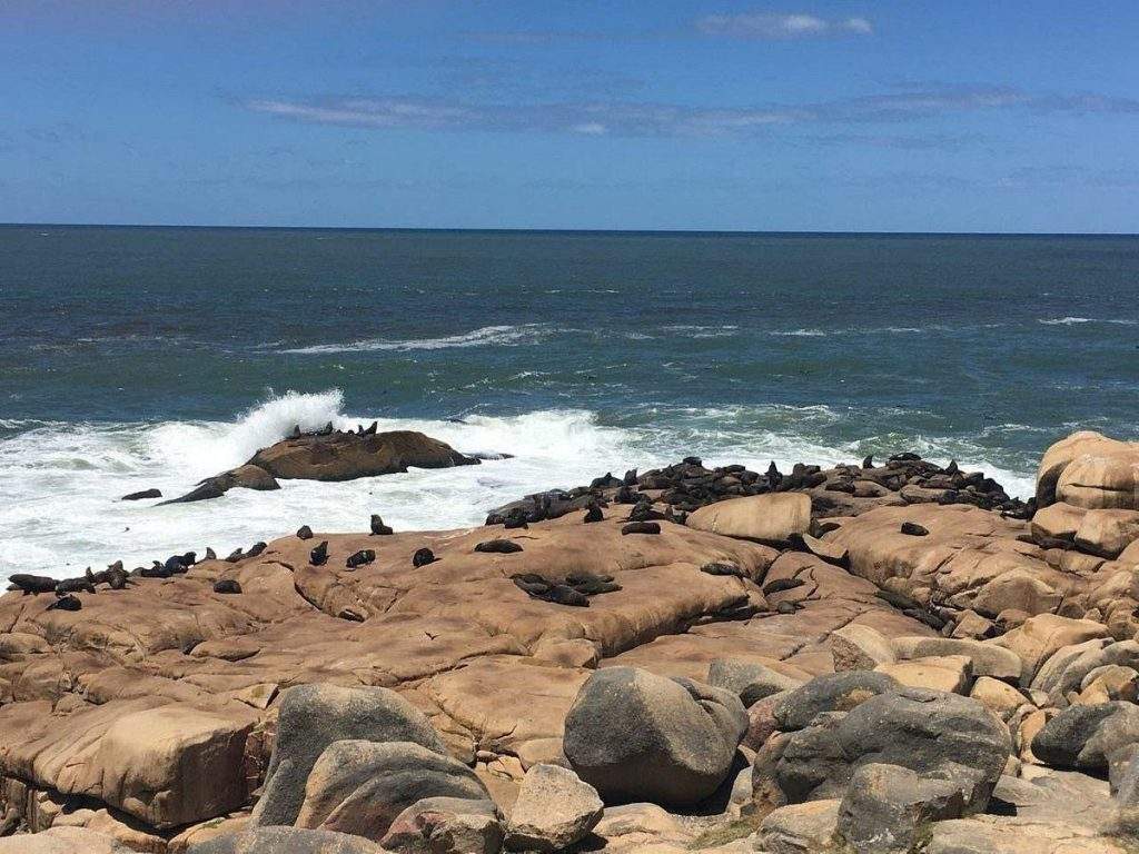 Parque Nacional Cabo Polonio