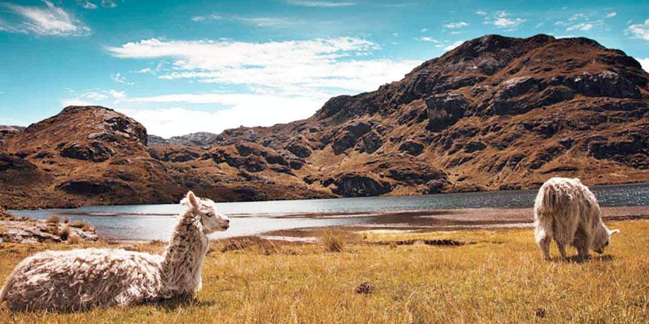 Parque Nacional Cajas En Ecuador Turismo Y Aventuras Naturales 4752