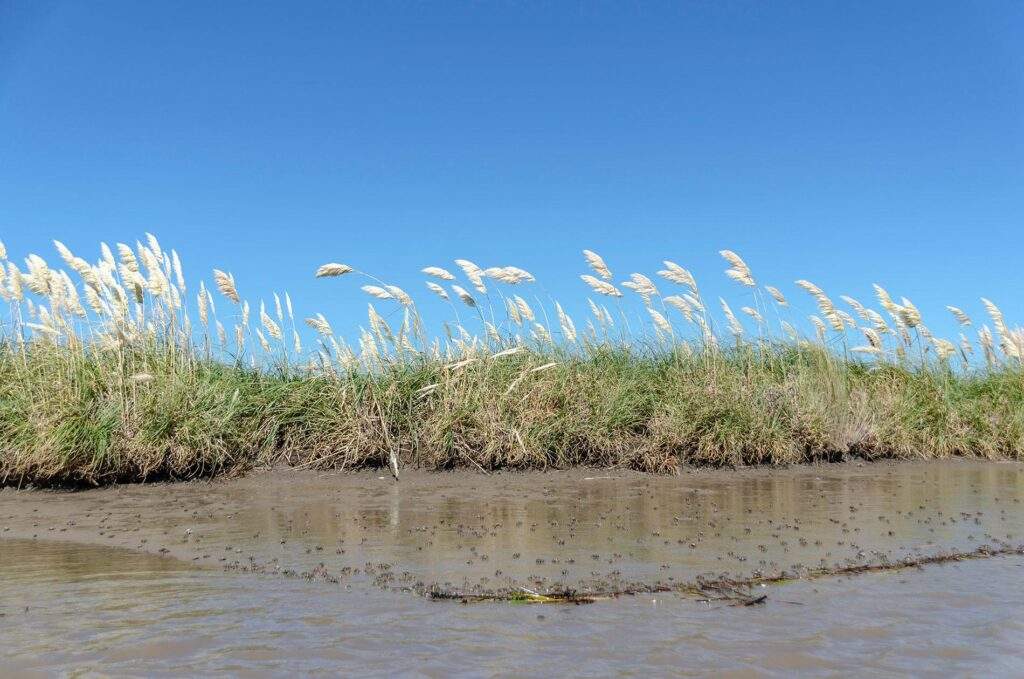 Parque Nacional Campos del Tuyú