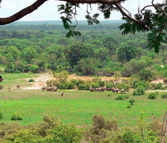 Parque Nacional Cangandala