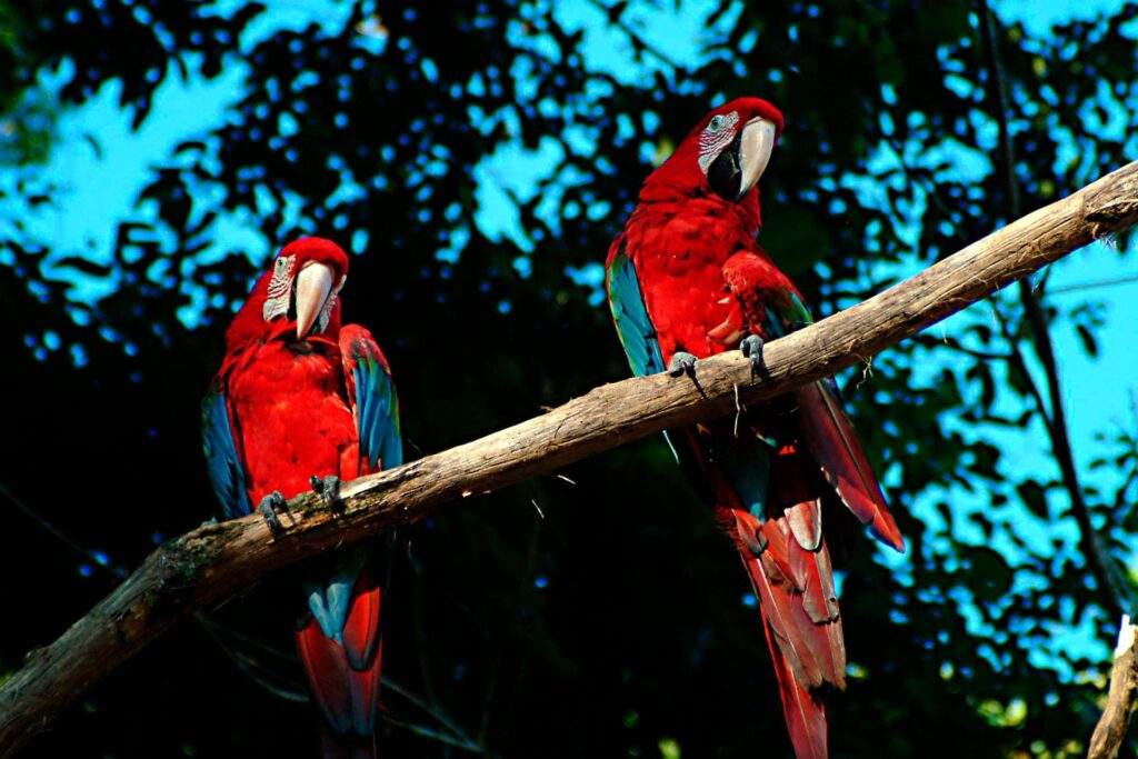 Parque Nacional Carrasco