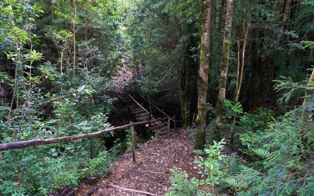 Parque Nacional Chiloé