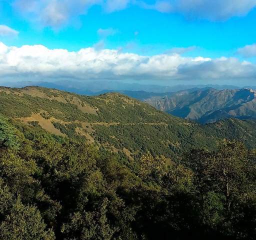 Montañas del Parque Nacional Chréa