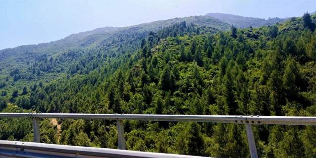 Panorámica del Parque Nacional Chréa