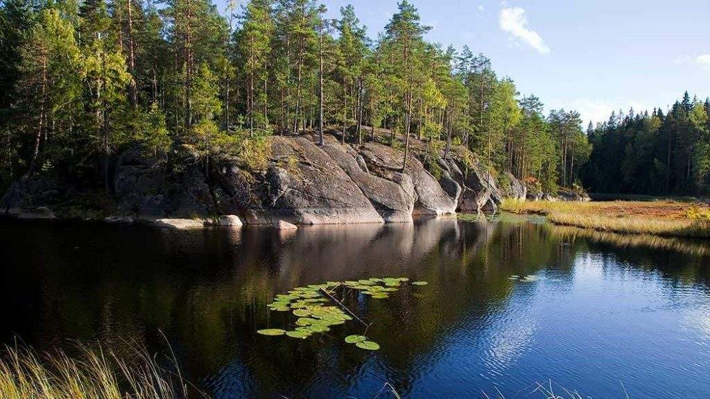 Parque Nacional de Nuuksio