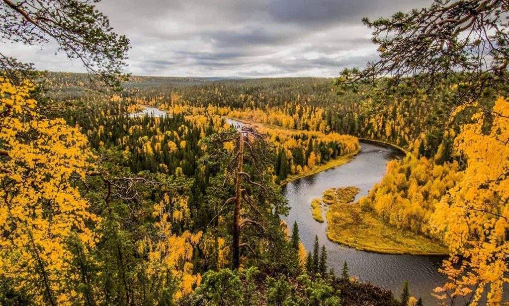 Parque Nacional de Oulanka