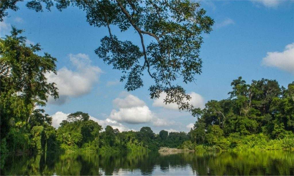 Parque Nacional del Manu