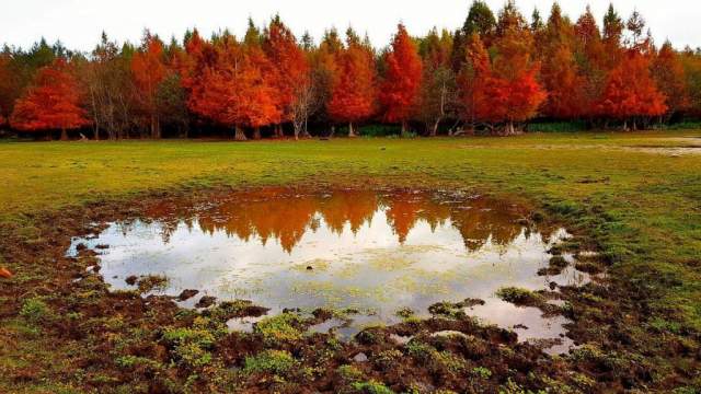 Parque Nacional El Kala