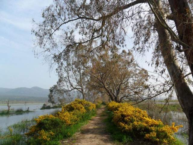 Parque Nacional El Kala