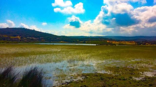 Parque Nacional El Kala