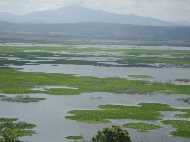 Parque Nacional El Kala