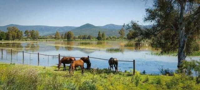 Parque Nacional El Kala