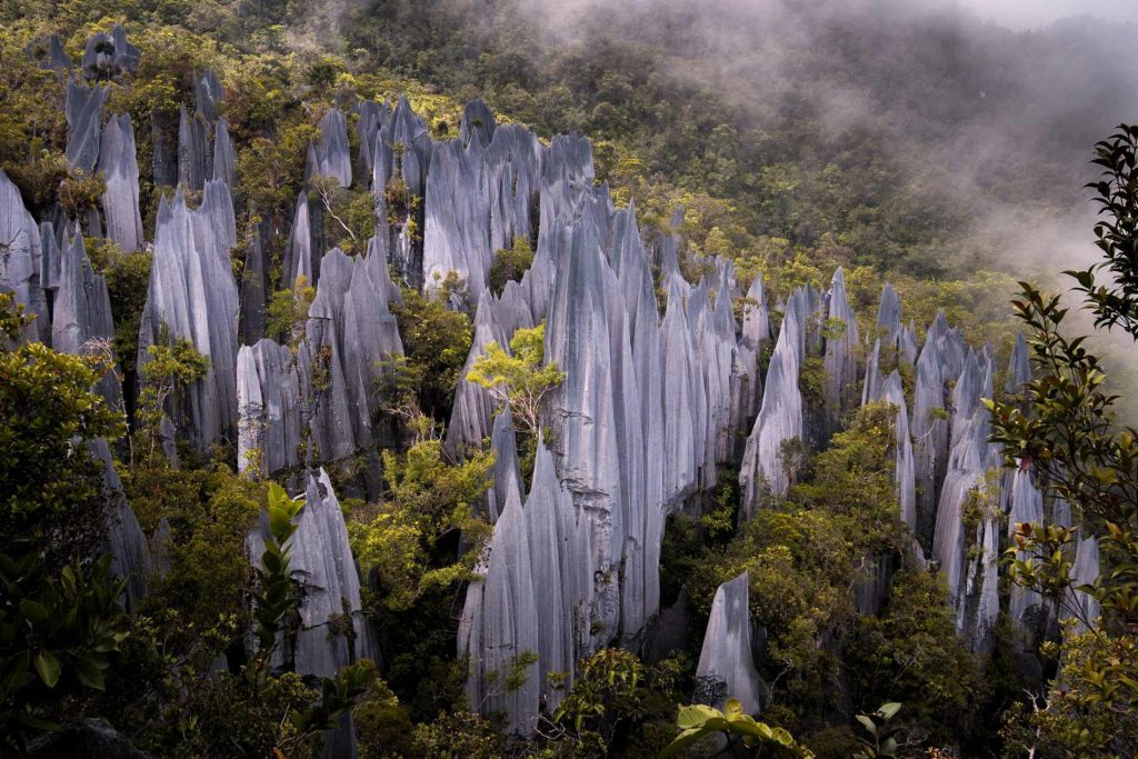 Parque Nacional Gunung Mulu, Isla de Borneo, Malasia