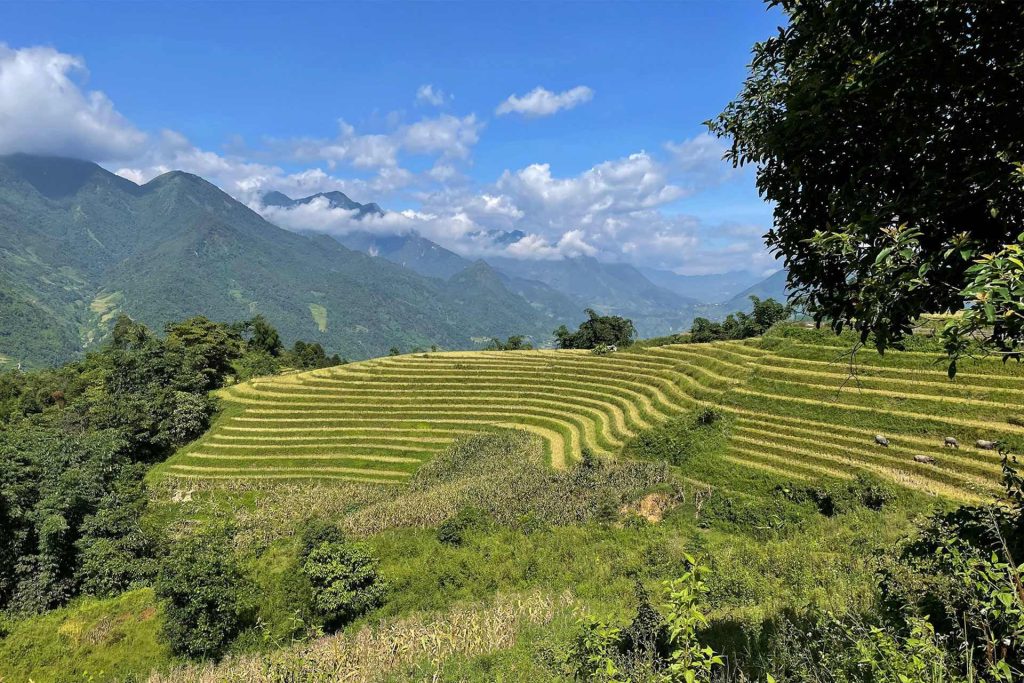 Parque Nacional Hoàng Liên, Vietnam: Trekking, fauna y cascadas