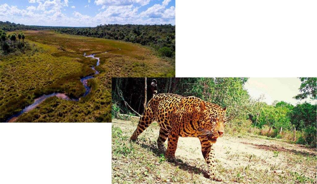 Parque Nacional y Área Natural de Manejo Integrado Kaa Iya del Gran Chaco