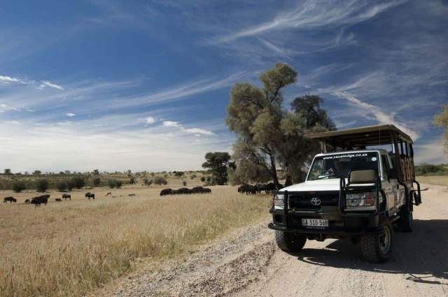 Parque Nacional Kgalagadi