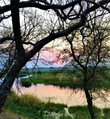 Parque Nacional Luengue-Luiana: ríos