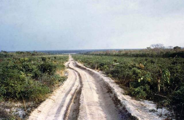 Parque Nacional Luengue-Luiana: camino para rutas de safari