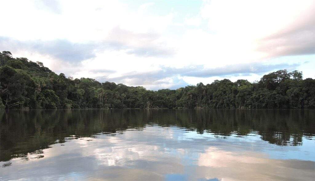 Parque Nacional y Área Natural de Manejo Integrado Madidi