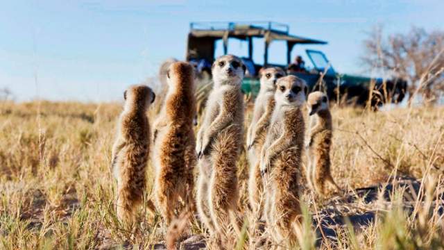 Parque Nacional de Makgadikgadi