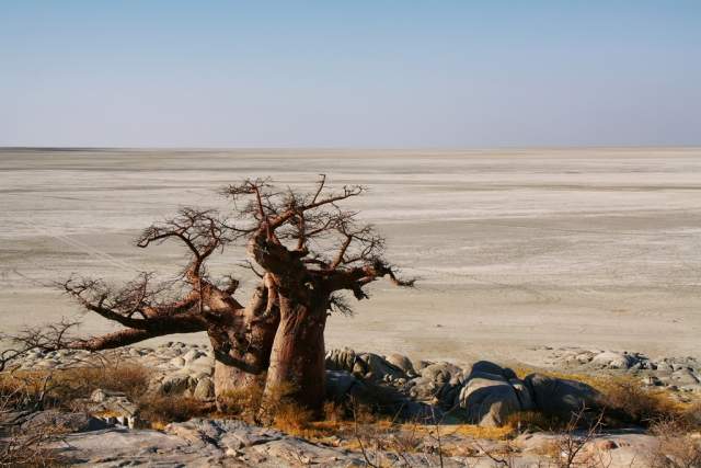 Parque Nacional de Makgadikgadi