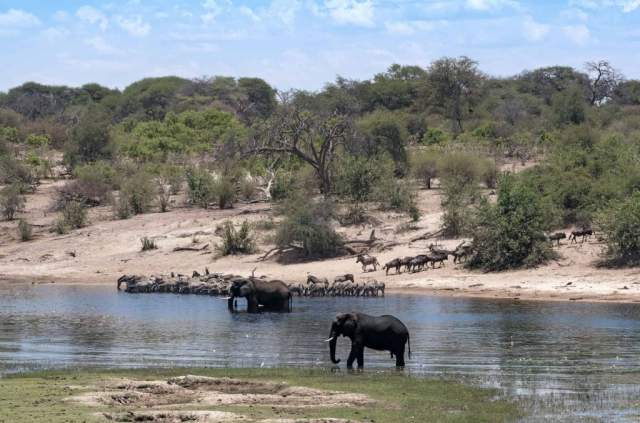 Parque Nacional de Makgadikgadi