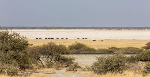 Parque Nacional de Makgadikgadi