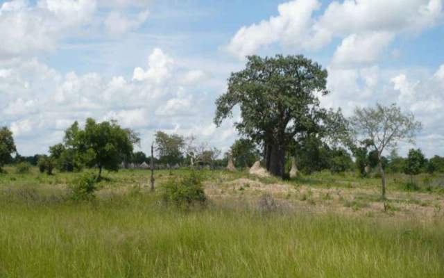 Parque Nacional de Mupa: fotografía desde la pradera