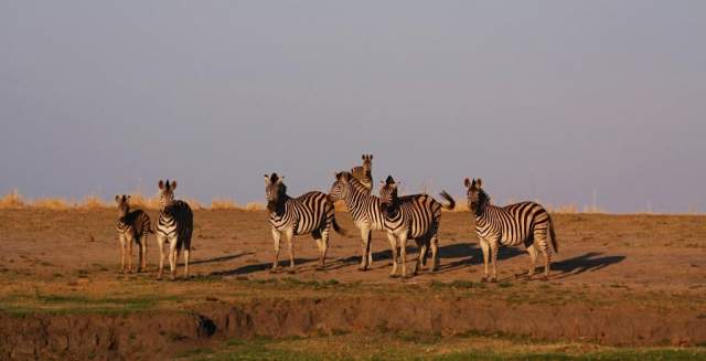 Parque Nacional Nxai Pan