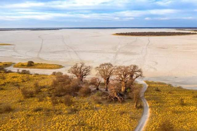 Parque Nacional Nxai Pan