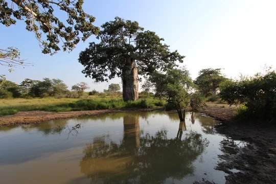 Parque Nacional Quiçama: humedal