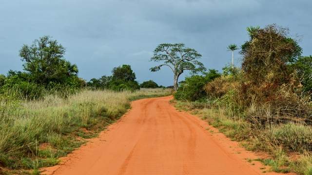 Parque Nacional Quiçama (Kissama)