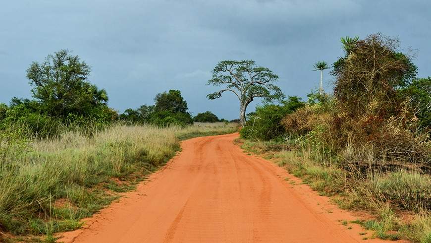 Parque Nacional Quiçama (Kissama) en Angola, África