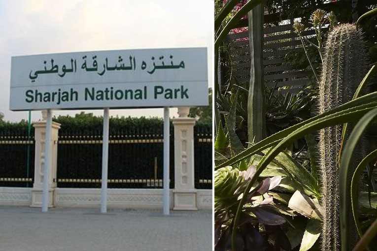 Jardines del Parque Nacional Sharjah en Emiratos Árabes