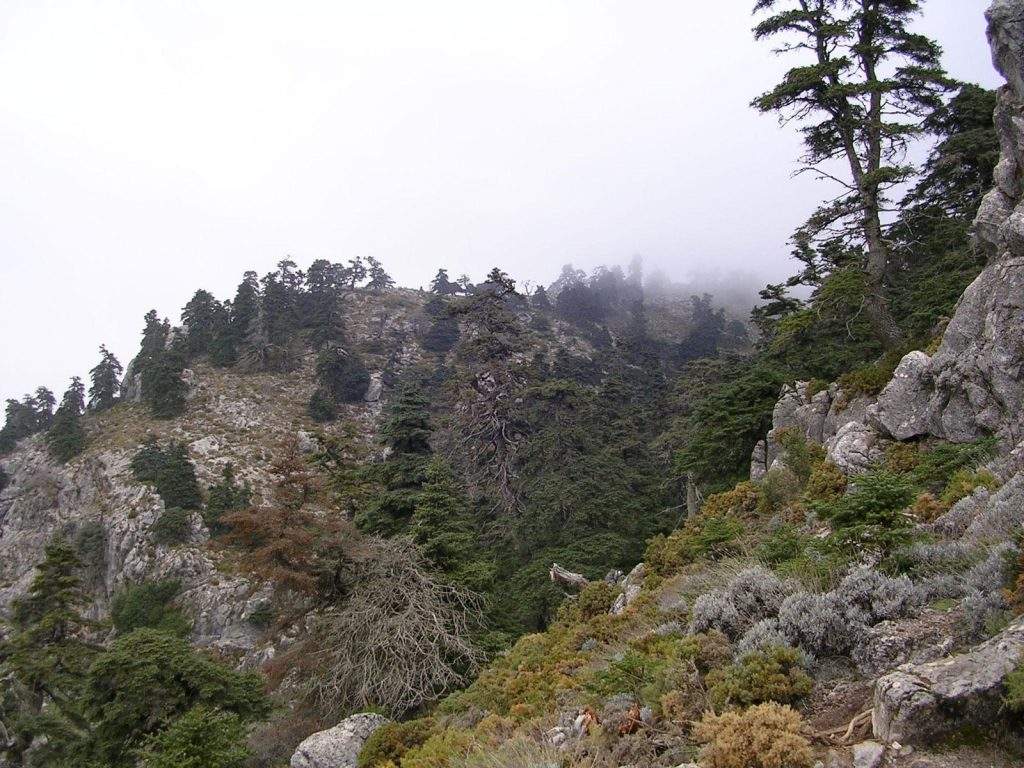 Parque Nacional de la Sierra de las Nieves