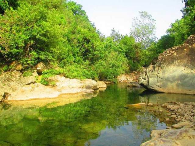 Parque Nacional Taza