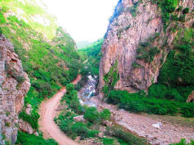 Parque Nacional Taza