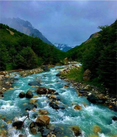 Parque Nacional Théniet El Had