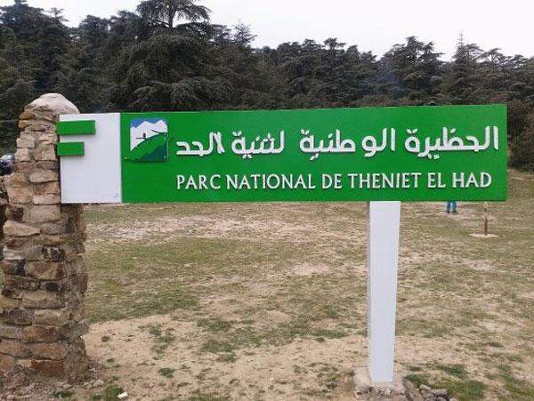 Parque Nacional Théniet El Had