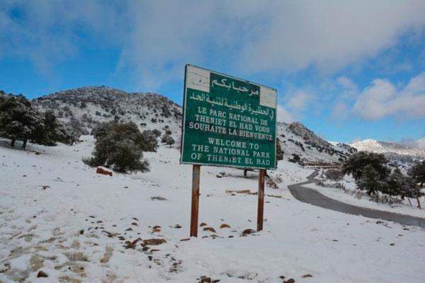 Parque Nacional Théniet El Had