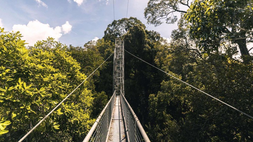 Parque Nacional de Ulu Temburong: Guía de visitas