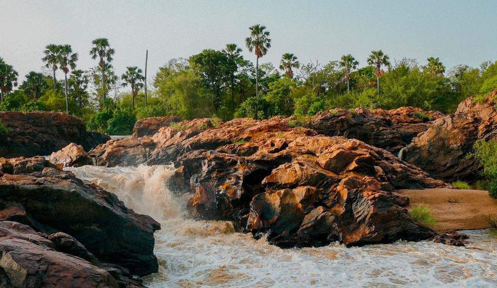 Parque Nacional W de Níger, Burkina Faso y Benin