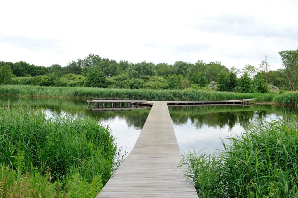 Pasarela para caminar y ver la fauna y flora presente en el Parque Nacional Lauwersmeer